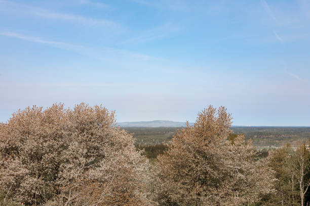 schöne aussicht auf die landschaft mit blühenden kirschbäumen - 11892 stock-fotos und bilder
