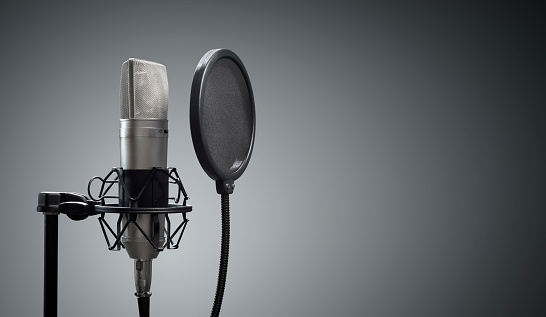 Micrófono de estudio y escudo pop en el micrófono se paran contra el fondo gris photo
