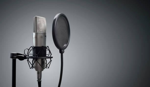 Studio microphone and pop shield on mic stand against gray background Studio microphone and pop shield on mic stand against gray background concept for podcast and presentation radio station photos stock pictures, royalty-free photos & images
