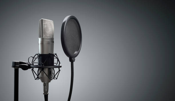 studio microphone and pop shield on mic stand against gray background - all people audio imagens e fotografias de stock