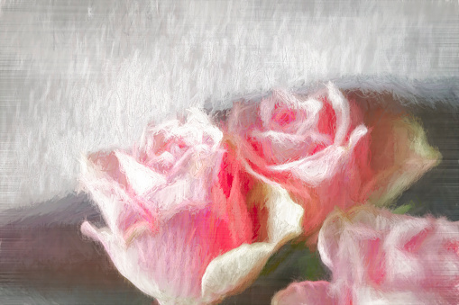 Close-up of pink roses in a vase for use as a background or on a greetings card. Heavily post processed to give a painterly effect.
