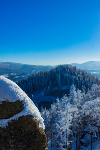 istock beautiful snowy winter mountain landscape 1303642365