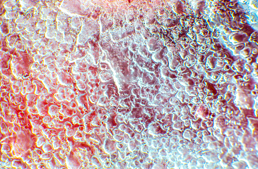 Textura de fresas congeladas. De cerca. Fruta fría en la nieve. photo