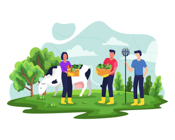rolnik pracujący w ogrodzie - agriculture field tractor landscape stock illustrations