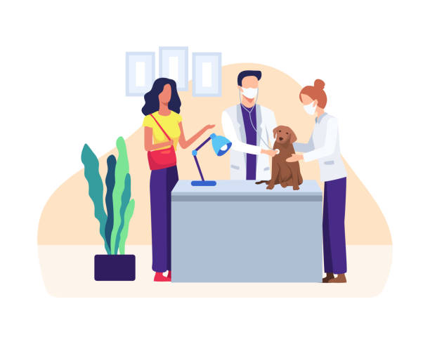 Veterinarian examining a dog Doctor in uniform holding pet, Veterinary clinic. Healthcare service or medical for domestic animals. Veterinarian with pets, Vector illustration in a flat style animal hospital stock illustrations