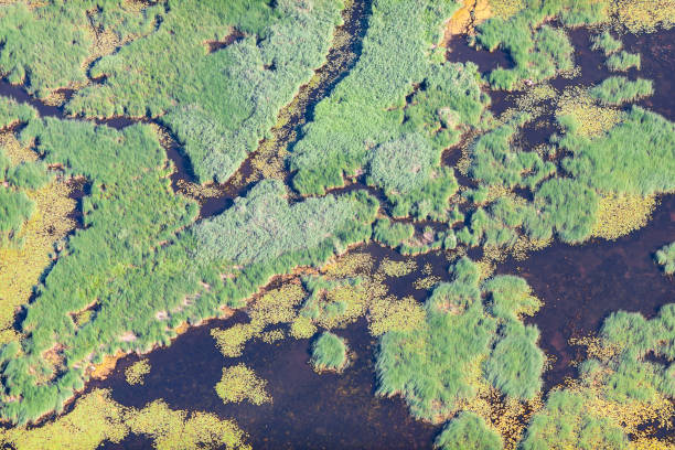 istock aerial view over the rural fields and pond 1303646621