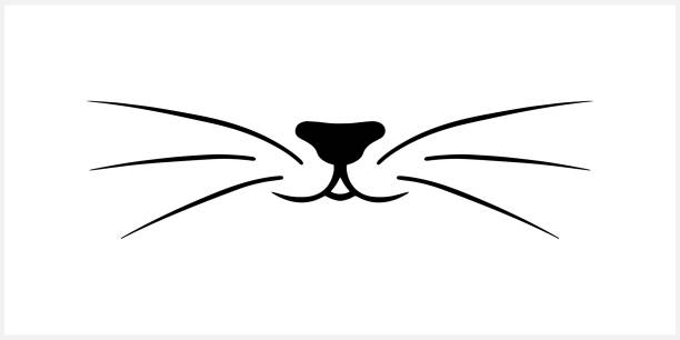 ilustraciones, imágenes clip art, dibujos animados e iconos de stock de icono de bigote de gato doodle aislado en blanco. delinear la línea de arte de dibujo a mano. animal con logotipo de boceto. ilustración de material vectorial. eps 10 - whisker