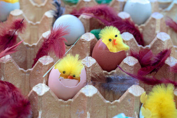 istock Easter eggs in a corton box among cute toy chickens and feathers. Easter decor concept. Close-up photo 1303648105