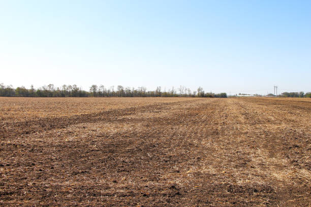 istock Plowed field and good weather 1303648962