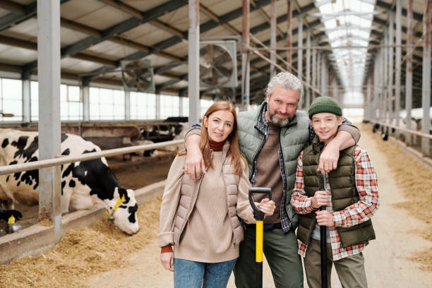Happy family of father, mother and their son in workwear standing in cattle farm Happy family of father, mother and teenage son in workwear standing in front of camera against long aisle between paddocks with livestock female animal photos stock pictures, royalty-free photos & images