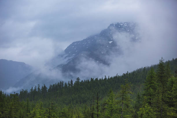istock Cloudy weather on Putorana Plateau. Russia, Taimyr 1303650366