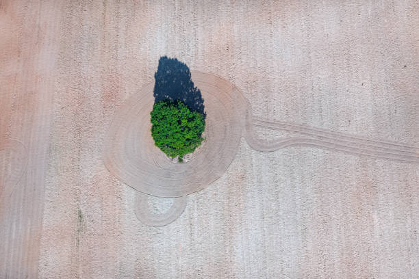 istock aerial view over the rural fields and pond 1303650722