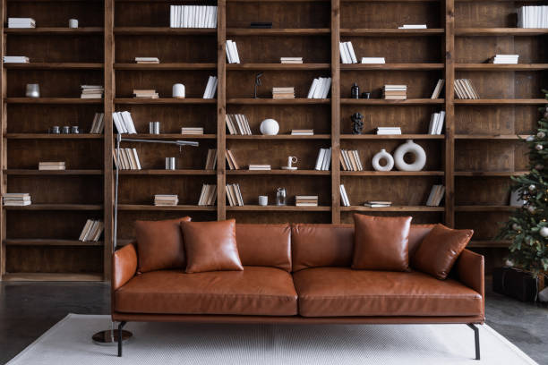 Room with comfortable couch and books on bookshelves Leather sofa with cushions standing on living room with stylish interior design and collections books on bookshelves in library. Work cabinet in modern apartment leather couch stock pictures, royalty-free photos & images