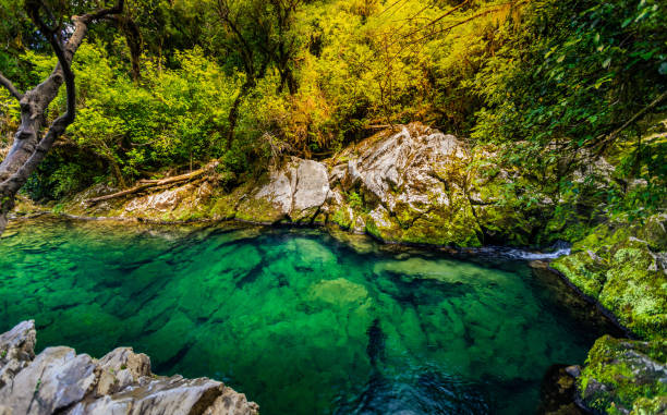 Taupo, New Zealand.