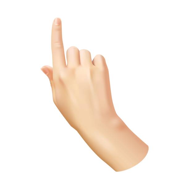 menschliche hand zeigen finger. realistische hand frau arm, wahl und richtung sendezeichen, zeigen oder klicken sie auf taste, idee symbol, kommunikationsgeste 3d einzelne isolierte illustration - zeigestab stock-grafiken, -clipart, -cartoons und -symbole