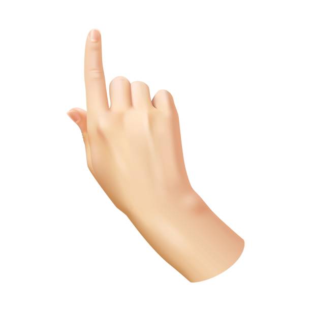 человеческая рука, указывающая пальцем. реалистичные руки женщины руку, выбор и направление знак, показывая или нажмите на кнопку, символ и� - human thumb click human hand communication stock illustrations