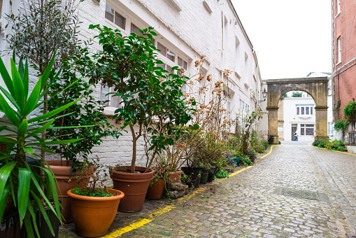 Color image depicting a mews street in London with traditional cute houses and architecture with potted plants outside and a cobblestone road.