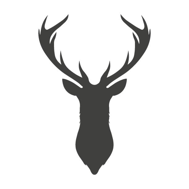 Dark grey silhouette of a deer head and antlers icon. Template logo design. Dark grey silhouette of a deer head and antlers icon. Template logo design. Vector illustration hunting trophy stock illustrations