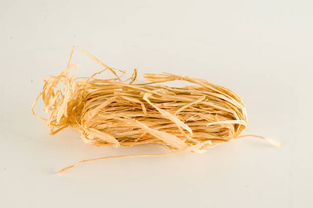 istock Closeup of golden hay 1303664539