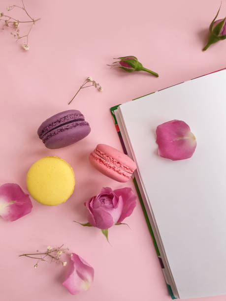 multicolored macaroon, rose flower on a colored background