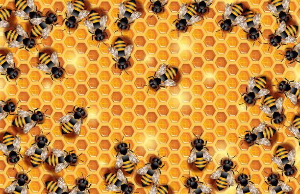 pszczoły pracujące pełzające na plastrze miodu - swarm of bees stock illustrations