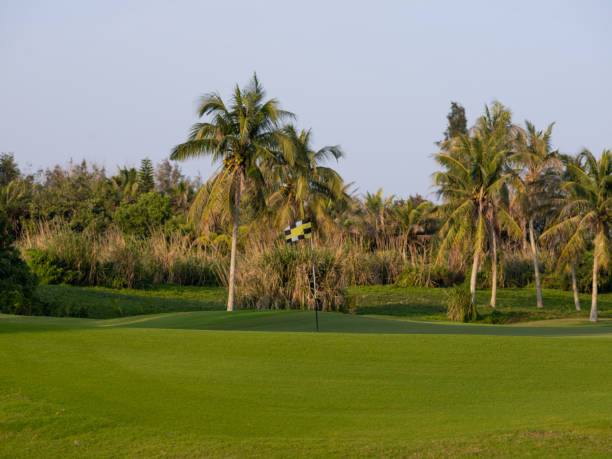 istock Coconut Grove Golf Course in the Sunset 1303673044