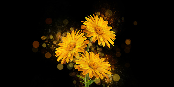Yellow pollen Blown out in bokeh On a black background 3d illustration