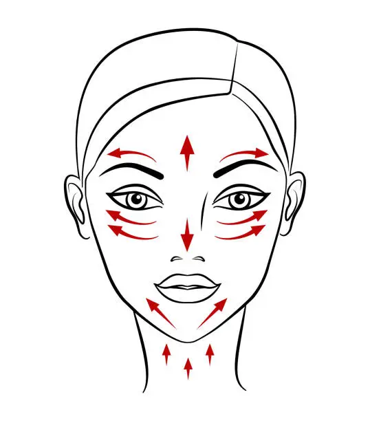 Vector illustration of Chinese massage with Gua Sha stones. Lines of massage on the face, vector illustration