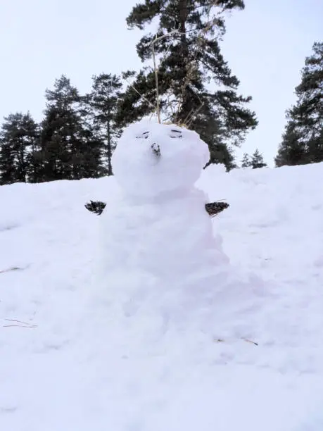 Funny snowman from snow branches and stones , Merry Christmass and happy New Year! Winter outdoor kids activity concept