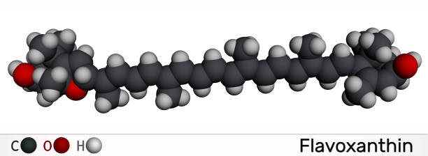 istock Flavoxanthin molecule. It is xanthophyll golden-yellow color pigment, food additive, E161a. Molecular model. 3D rendering 1303676601