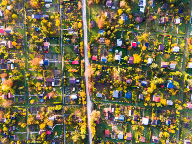 istock Abstract Pattern of Plot Gardens in Urban Area. Colorful Foliage in Autumn. Top Down Drone View 1303677992