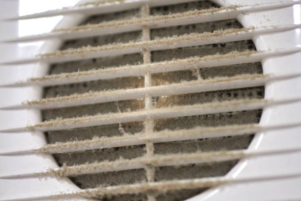 istock Dirty air ventilation grill of HVAC with clogged filter. 1303678462