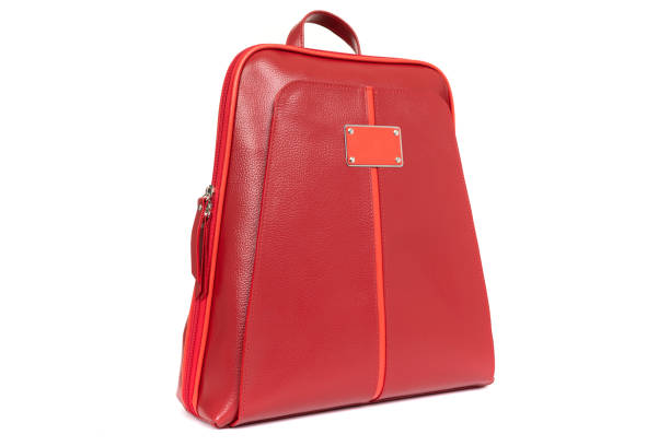 istock elegant ladies expensive leather bag close up 1303681384