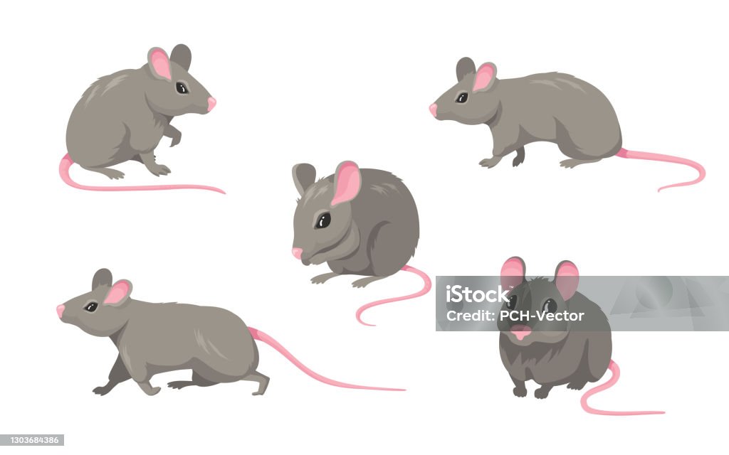 Ilustración de Conjunto De Ratones De Dibujos Animados y más Vectores  Libres de Derechos de Ratón - Animal - Ratón - Animal, Ratón de Ordenador,  Rata - iStock