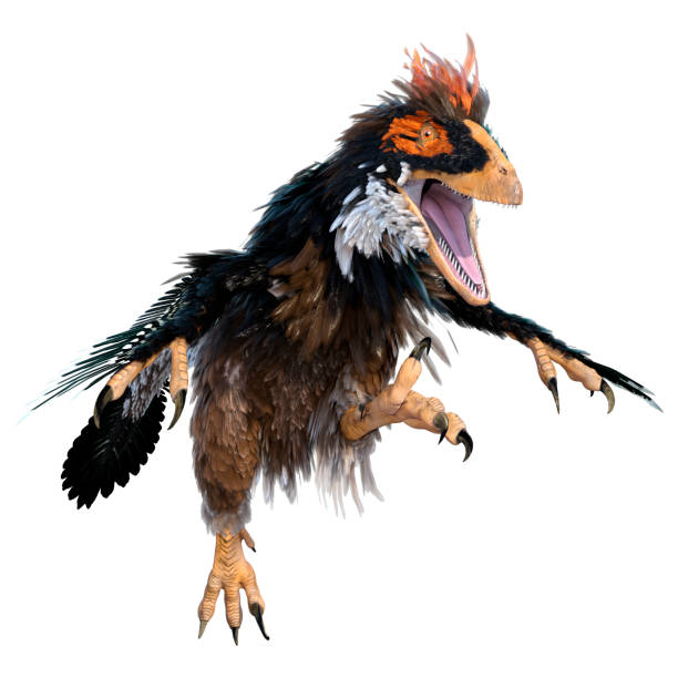 istock 3D illustration dinosaur Deinonychus Antirrhopus on white 1303685652