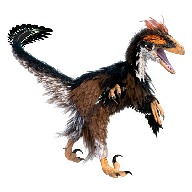istock 3D illustration dinosaur Deinonychus Antirrhopus on white 1303685655