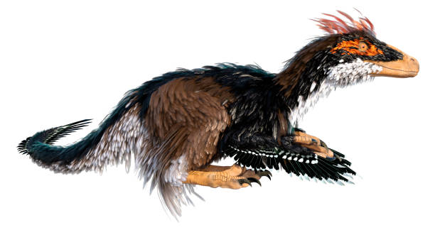 istock 3D illustration dinosaur Deinonychus Antirrhopus on white 1303685672