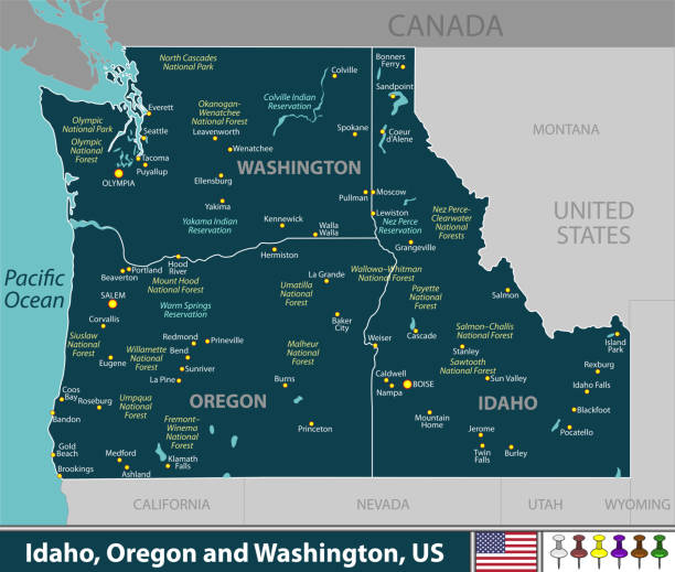 Idaho, Oregon and Washington Vector of Idaho, Oregon and Washington states of United States with large cities pacific northwest usa stock illustrations
