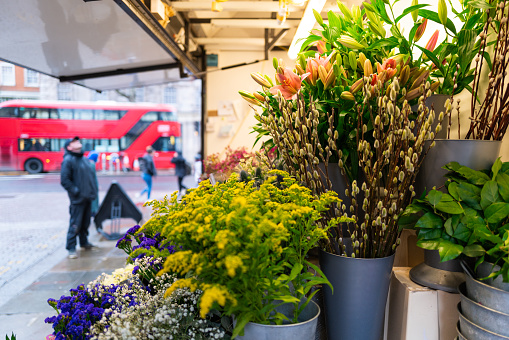 Color image depicting a range of flowers for sale on a street corner in London, UK. Focus is on the flowers while in the background people and a red London bus are defocused.