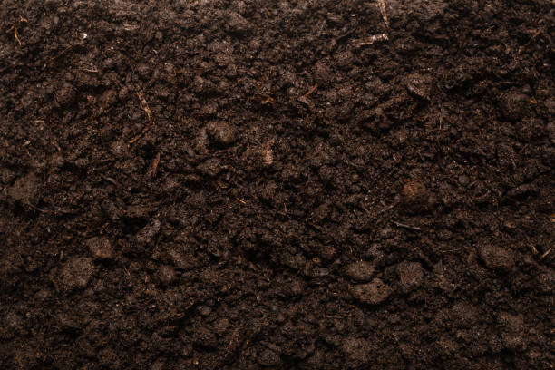 istock Black land for plant background. 1303687527