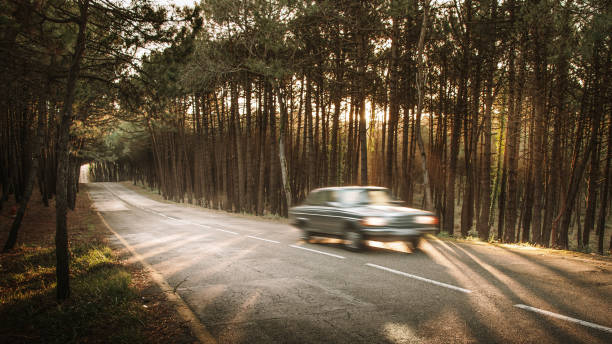 istock Car in motion on a road 1303688964