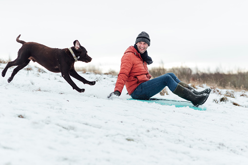 A mature caucasian man wearing warm winter clothing and accessories in a snowy, rural, outdoor setting. He is having fun sledding down a snowy hill while his brown Labrador Retriever chases after them.