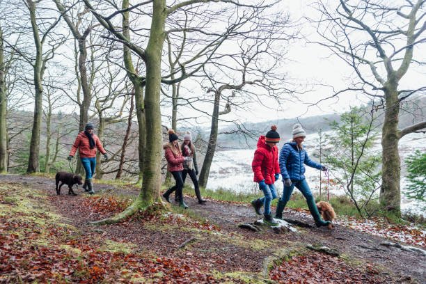 istock Family Time in the Woods 1303689735