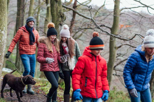 sorelle che usano il loro smartphone durante una passeggiata in famiglia - 12 15 months foto e immagini stock