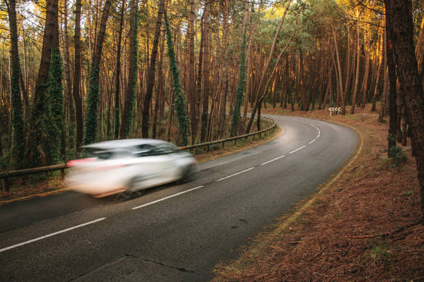 istock Car in motion on a road 1303691813