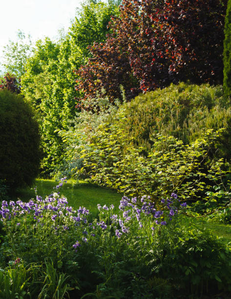 istock Garden landscape with light purple flowers 1303696049