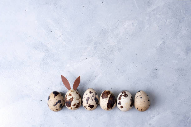 istock Quail egg in the form of an easter bunny in a row with quail eggs on a gray background, minimalistic easter concept. 1303696889