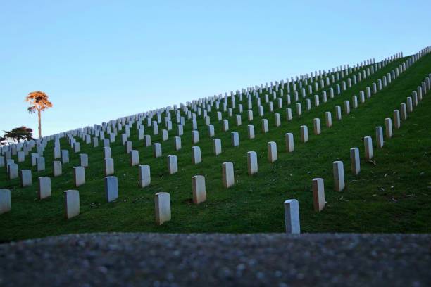 cementerio nacional de san francisco - cemetery grave military beauty in nature fotografías e imágenes de stock