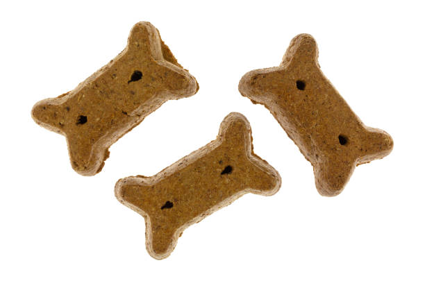 istock Peanut butter dog biscuits on a white background. 1303697261