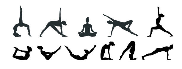 ilustraciones, imágenes clip art, dibujos animados e iconos de stock de el yoga plantea un conjunto de siluetas. mujer practicando meditación y estiramiento. concepto de estilo de vida saludable. aislado en ilustración vectorial blanca. - stretching exercising gym silhouette